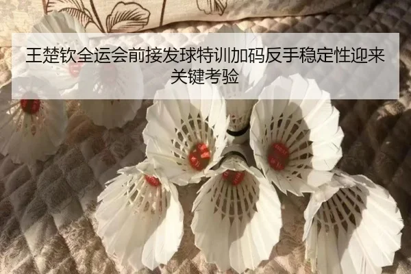 王楚钦全运会前接发球特训加码反手稳定性迎来关键考验 - PG
